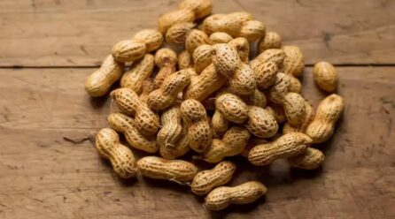 Peanuts: A Nutritional Powerhouse