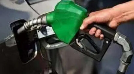 Petroleum Product Sales Surge to Seven-Month High